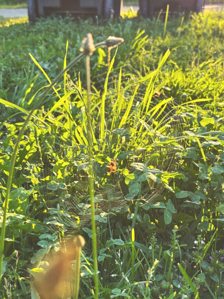 Sights while reading!